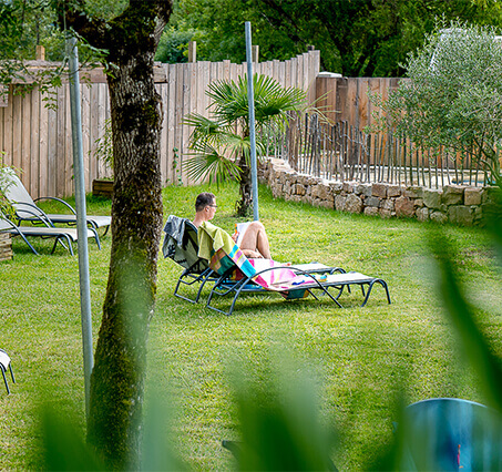Les emplacements camping dans le Tarn pour tente du camping le Chêne Vert en Occitanie