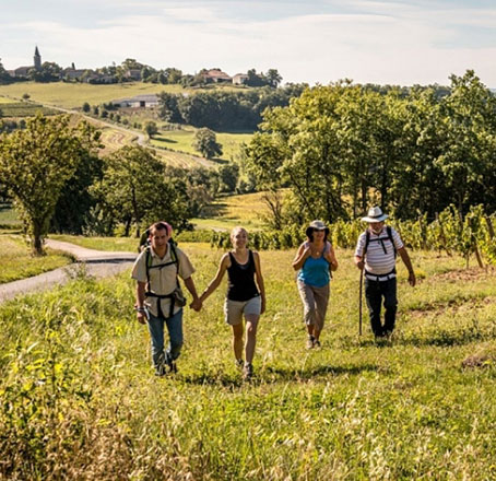 Randonnées pédestres en famille, à proximité de Gaillac