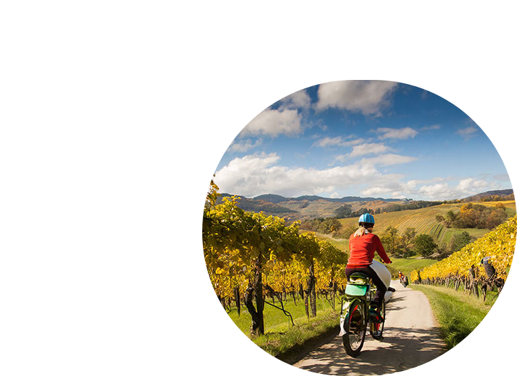 Flêche et velo